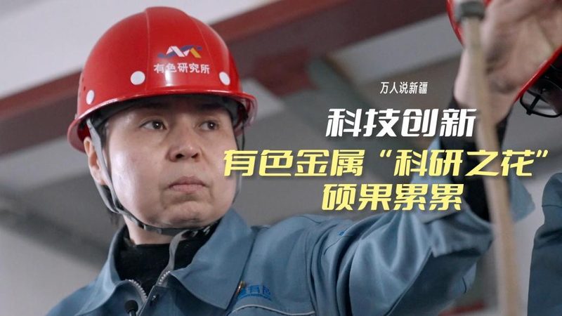 揭秘人工智能应用领域：厂家排名背后的考量因素