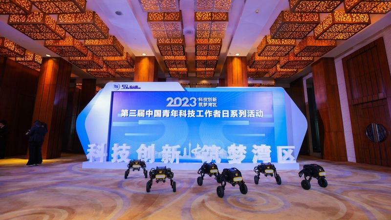 小分子医药研发外包：揭秘高效流程与关键要素**